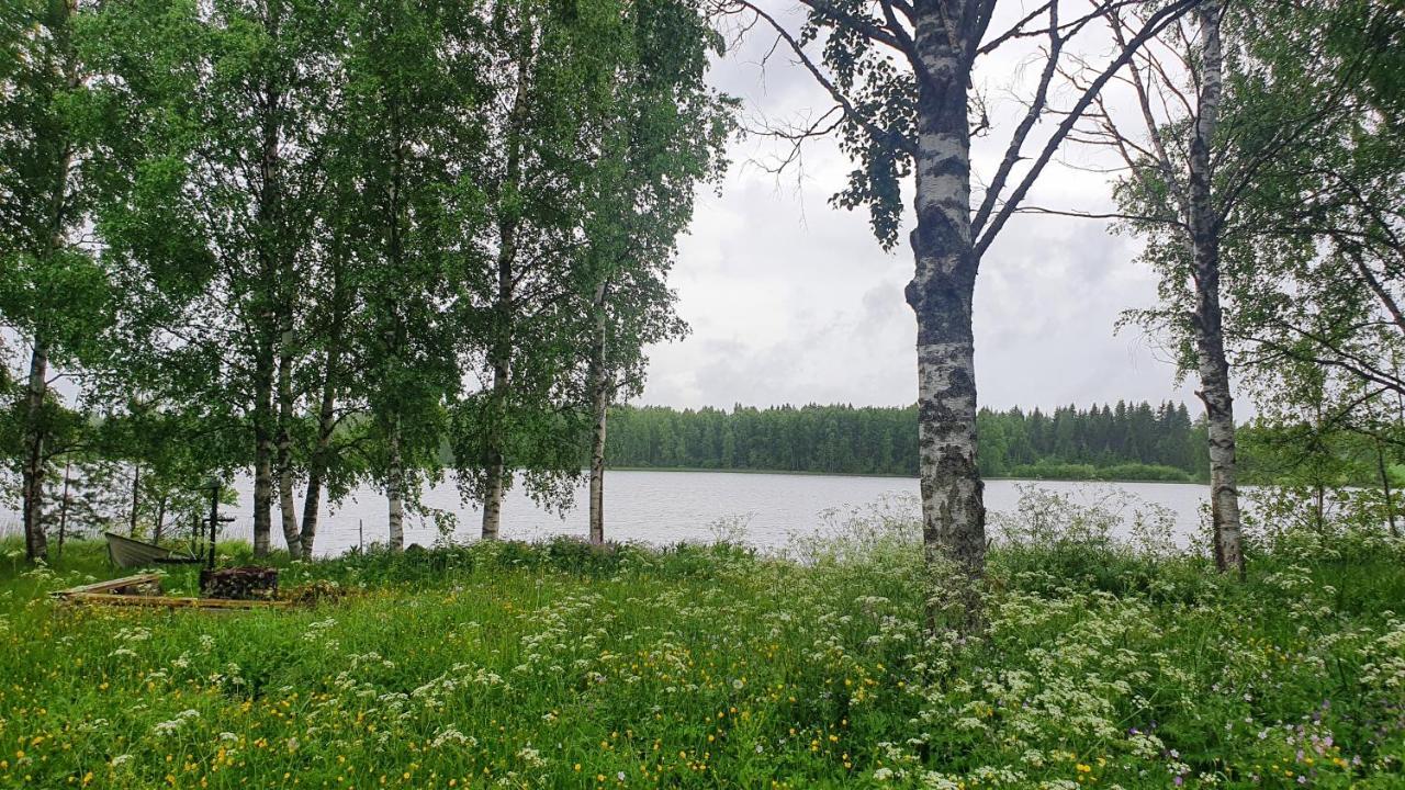 Viihtyisae Kolmio Jaerven Rannalla Haapavesi Exterior photo