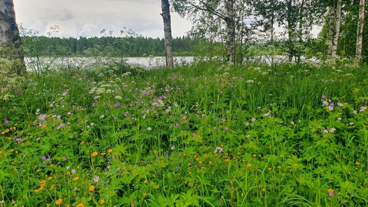 Viihtyisae Kolmio Jaerven Rannalla Haapavesi Exterior photo